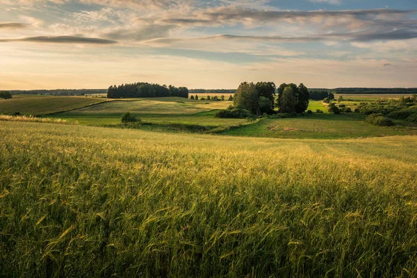 Mazurskie マズリア ポーランド近くマズールィ牧草地のある風景します — ストック写真