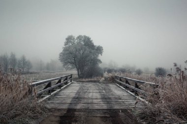 Soğuk bir sabah Jeziorka Nehri üzerinde köprü