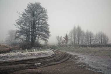 Sisli ve soğuk sabah sahada yolda