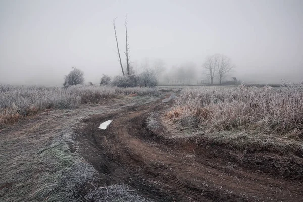 Road Field Foggy Frosty Morning — Stock Photo, Image