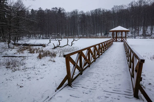 波兰马瑟利亚 Gizycko 冬季的木人行天桥 — 图库照片