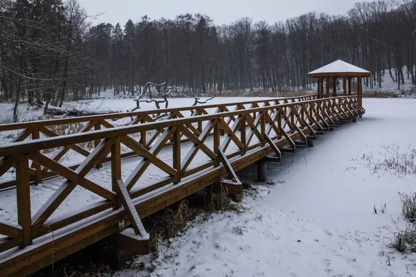 波兰马瑟利亚 Gizycko 冬季的木人行天桥 — 图库照片
