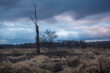 Vadisi Jeziorka nehir ve yağmurlu bulutlar yakınındaki Piaseczno, pl, Polonya