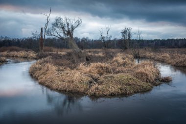 Vadisi Jeziorka nehir ve yağmurlu bulutlar yakınındaki Piaseczno, pl, Polonya