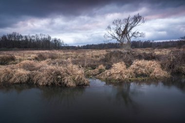 Vadisi Jeziorka nehir ve yağmurlu bulutlar yakınındaki Piaseczno, pl, Polonya