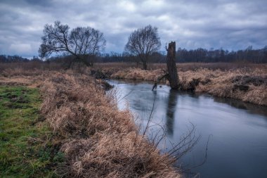Vadisi Jeziorka nehir ve yağmurlu bulutlar yakınındaki Piaseczno, pl, Polonya