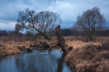 Vadisi Jeziorka nehir ve yağmurlu bulutlar yakınındaki Piaseczno, pl, Polonya