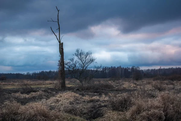 Vadisi Jeziorka nehir ve yağmurlu bulutlar yakınındaki Piaseczno, pl, Polonya