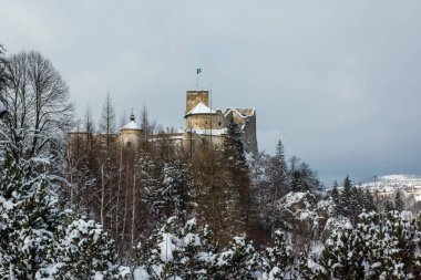Kış, Pieniny, Polonya, Niedzica Castle