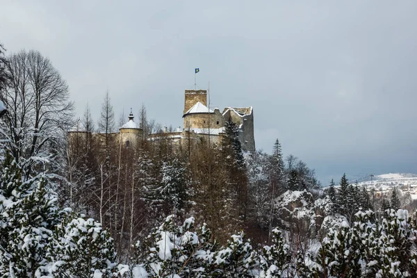 Замок Недзице Зимой Пенины Польша — стоковое фото