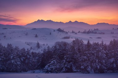 Tatra Dağları Pieniny Dağları, kış, Slovakya