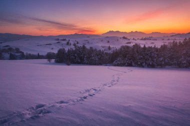 Tatra Dağları Pieniny Dağları, kış, Slovakya