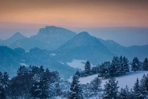 ピエニィニ山冬 ポーランドの つの王冠のピーク — ストック写真
