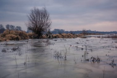 Bir yerde Polonya'da bulutlu gün Vistula Nehri
