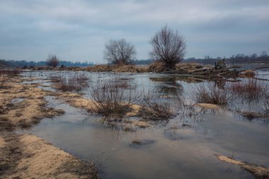 Bir yerde Polonya'da bulutlu gün Vistula Nehri