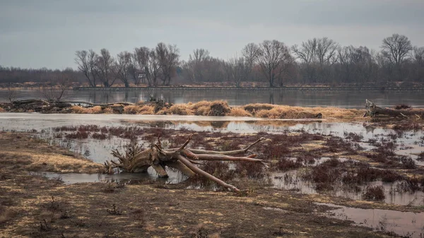 Bir yerde Polonya'da bulutlu gün Vistula Nehri