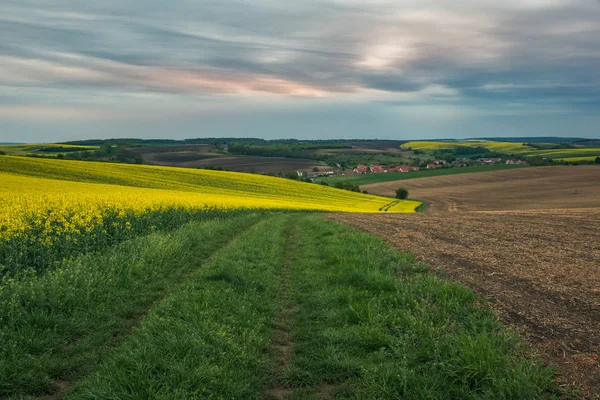 Campos Morávios Primavera Perto Sardice Morávia República Checa — Fotografia de Stock