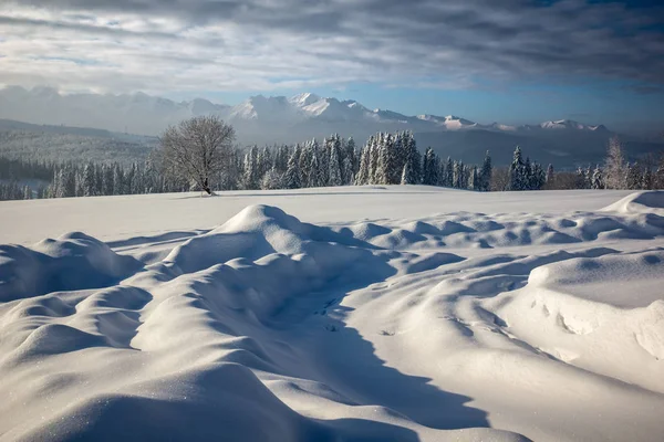 冬のポーランドのタトラ山脈で — ストック写真