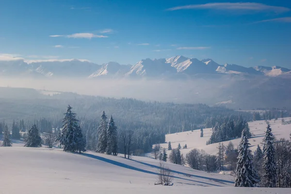 冬のポーランドのタトラ山脈で — ストック写真