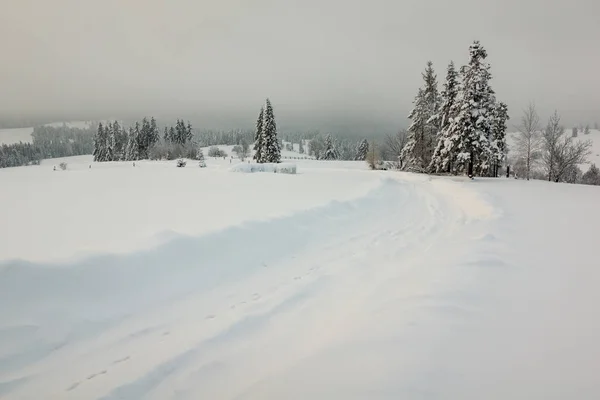Vinterväg Tatrabergen Polen — Stockfoto