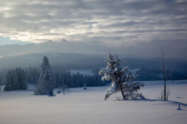 Invierno Tatra Polonia — Foto de Stock