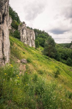 Kobylanska Kobylany, İstanbul, Polonya yakınındaki Krakowsko-Czestochowskiej Yaylası bulunan Valley (popüler tırmanma yer)
