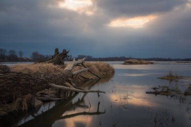 Vistula Nehri yakınında Konstancin-Jeziorna, Masovia sabahı, 