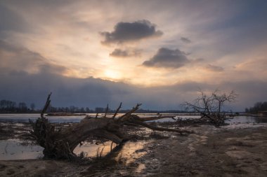Vistula Nehri yakınında Konstancin-Jeziorna, Masovia sabahı, 