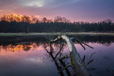 Chojnowski manzara Parkı Kons önemsizden Sunrise