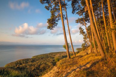 Cliff Vistula üzerinde Krynica Morska, Pomorskie, Polonya tükürmek