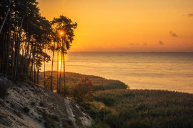 Cliff Vistula üzerinde Krynica Morska, Pomorskie, Polonya tükürmek