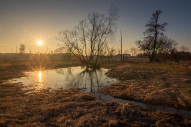 Piaseczno, Masovia, Polonya Jeziorka Nehri Vadisi