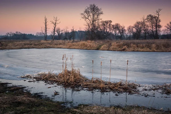 波兰马索维亚 Piaseczno 附近的 Jeziorka 河流域 — 图库照片