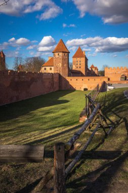 Germen kalede Malbork, Pomorskie, Polonya
