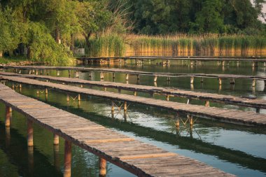 Yaya köprüsü üzerinde Macaristan Bokod Gölü