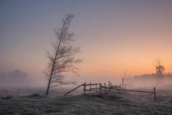 Manhã nebulosa no vale do rio Jeziorka perto de Piaseczno — Fotografia de Stock