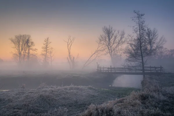 在皮亚塞兹诺附近的耶齐奥尔卡河流域的雾蒙蒙的早晨 — 图库照片