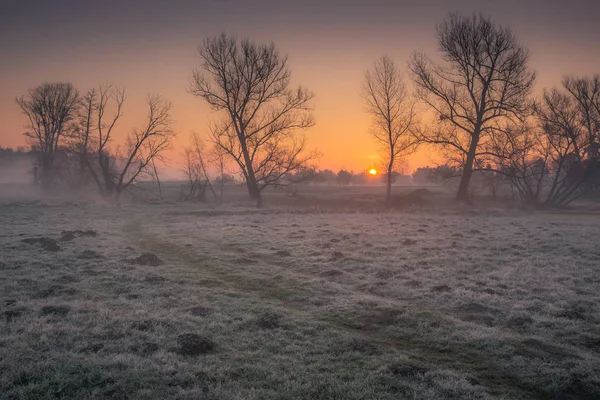 Sunrise over the meadow in the valley of the Jeziorka river near — Stock Photo, Image