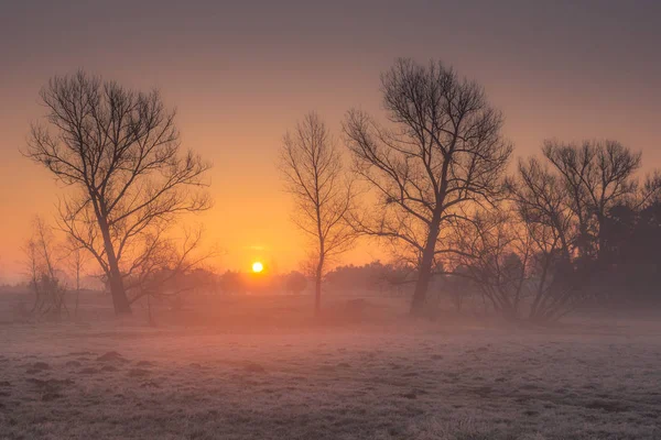 Sunrise over the meadow in the valley of the Jeziorka river near — Stock Photo, Image