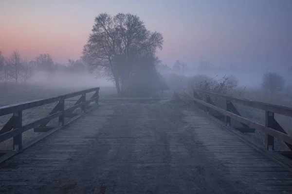 Долина річки Єзьорка на Туманний ранок поблизу Пясечно, — стокове фото