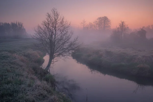Vallée de la rivière Jeziorka par un matin brumeux près de Piaseczno , — Photo