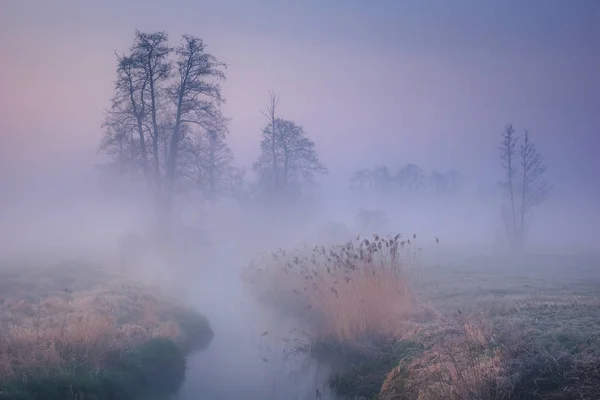 Κοιλάδα του ποταμού Jeziorka σε μια ομίχλη πρωί κοντά στο Πιασέσκο, — Φωτογραφία Αρχείου