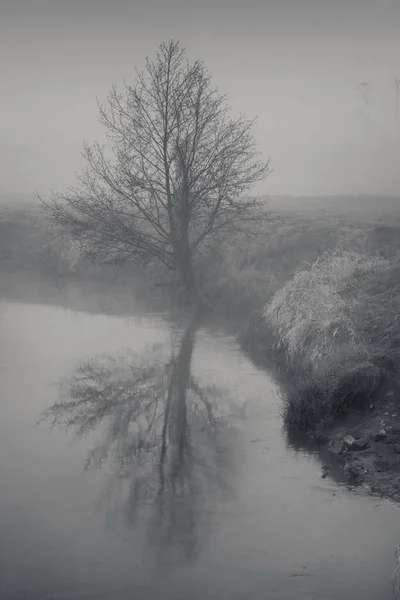 Valley of the Jeziorka River on a foggy morning near Piaseczno, — Stock Photo, Image