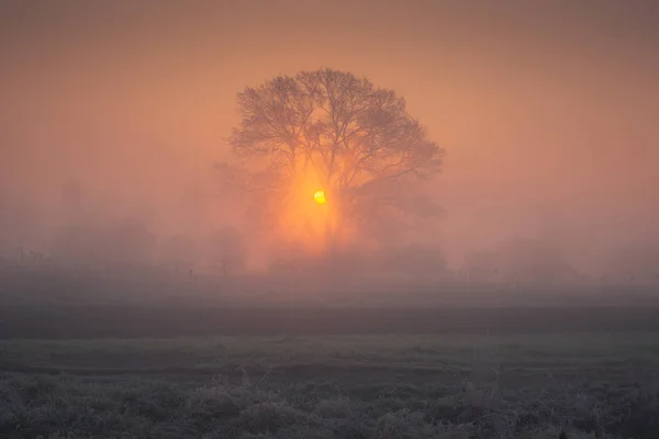ピアセチュノに近い霧の朝の Jeziorka 川の谷, — ストック写真