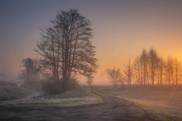 Vallée de la rivière Jeziorka par un matin brumeux près de Piaseczno , — Photo
