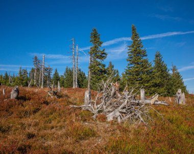 Dev dağ sonbaharda Skalny STOL zirvesine Trail