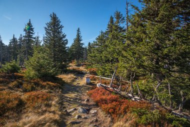 Dev dağ sonbaharda Skalny STOL zirvesine Trail