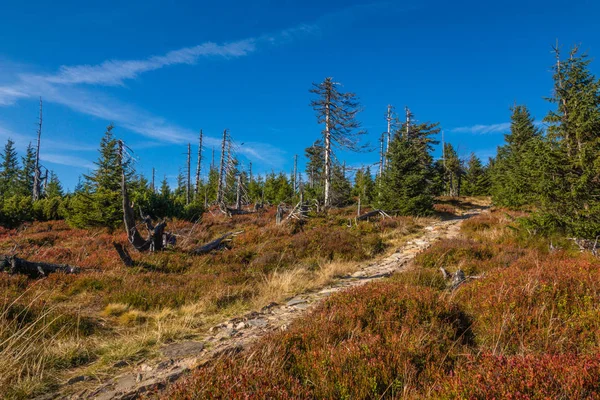 Weg zum Gipfel des Skalny stol im Herbst im Riesengebirge — Stockfoto