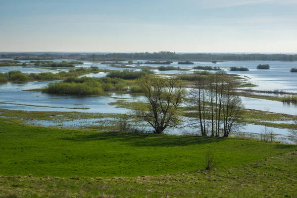 Бебжа, поблизу Бучин, Підляське, Польща — стокове фото