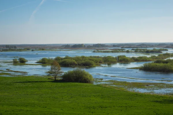 Río Biebrza cerca de Burzyn, Podlaskie, Polonia —  Fotos de Stock